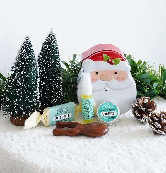 [CHRISTMAS  GIFT ] SANTA SURPRISE