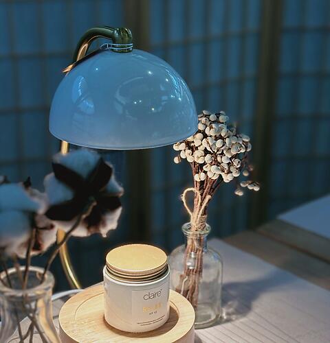 ELECTRIC CANDLE WARMER LAMP