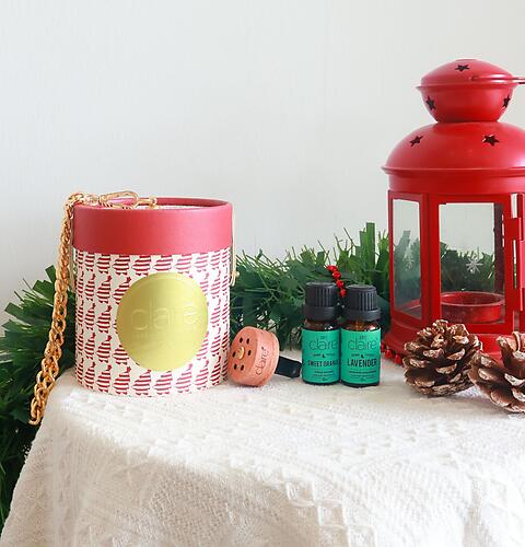 [ CHRISTMAS GIFT ] HOLIDAY WISHES