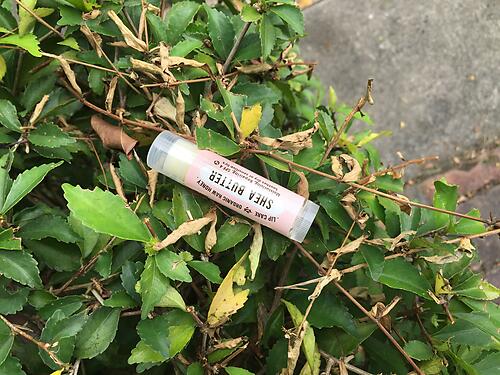 SHEA BUTTER LIP CARE